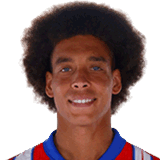 Witsel