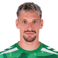 Radu Radu