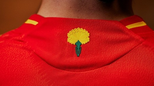 Camiseta España