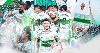 Buscamos colaborador para el Elche ¿te animas?